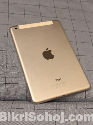 iPad 2 Mini